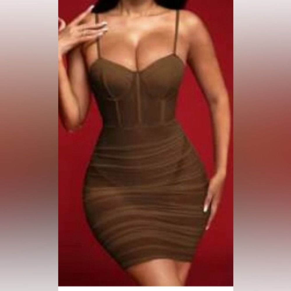 Brown Mesh/Corset Dress